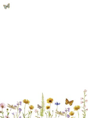 Wildflower Garden Boxed Stationery (Boxed Stationery)