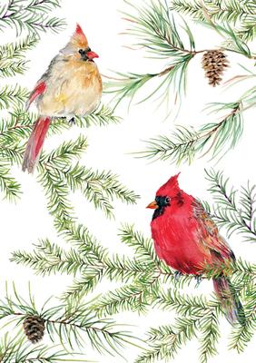 Cardinals in Evergreen Small Boxed Holiday Cards (20 Cards, 21 Self-Sealing Envelopes)