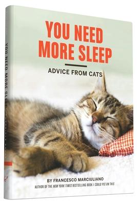 You Need More Sleep: Advice from Cats