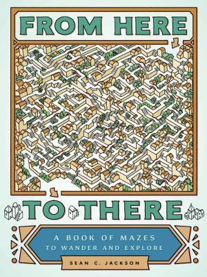 From Here to There: A Book of Mazes to Wander and Explore (Maze Books for Kids, Maze Games, Maze Puzzle Book)