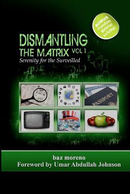 Dismantling the Matrix: Serenity for the Surveilled