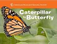 Caterpillar to Butterfly Subscription