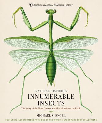 Innumerable Insects: The Story of the Most Diverse and Myriad Animals on Earth