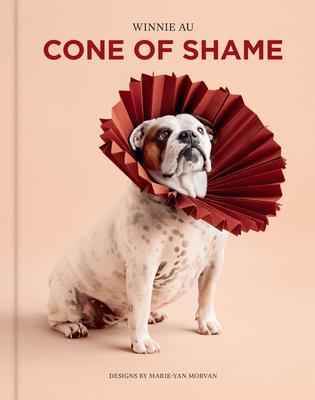 Cone of Shame Subscription
