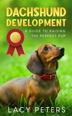 Dachshund Development: A Guide to Raising the Perfect Pup