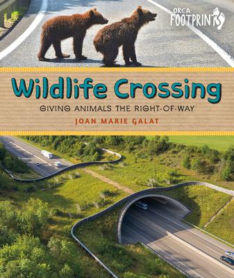 Wildlife Crossing: Giving Animals the Right-Of-Way