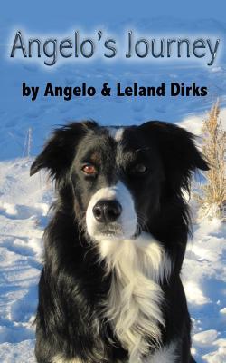 Angelo's Journey: A Border Collie's Quest for Home