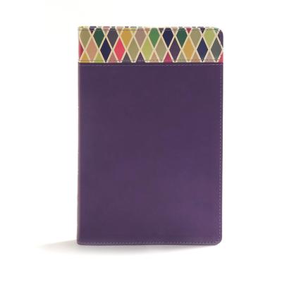 CSB Rainbow Study Bible, Purple Leathertouch