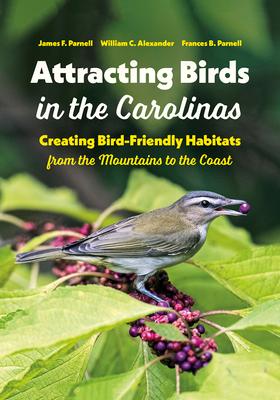 Attracting Birds in the Carolinas: Creating Bird-Friendly Habitats from the Mountains to the Coast