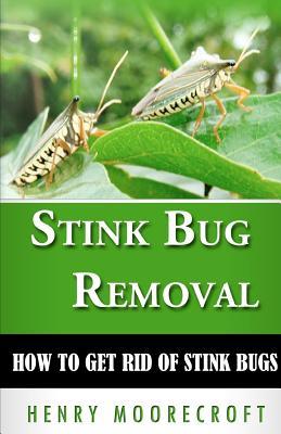 Stink Bug Removal: How to Get Rid of Stink Bugs