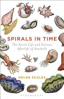 Spirals in Time: The Secret Life and Curious Afterlife of Seashells