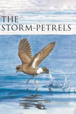 The Storm-Petrels