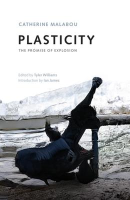 Plasticity: The Promise of Explosion