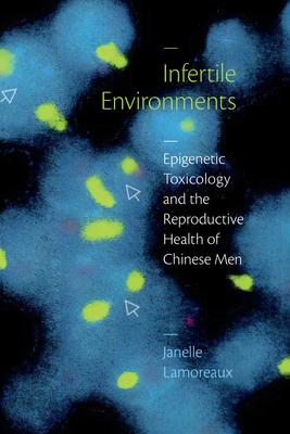 Infertile Environments: Epigenetic Toxicology and the Reproductive Health of Chinese Men