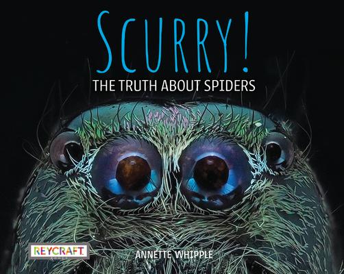 Scurry: The Truth about Spiders: The Truth about Spiders