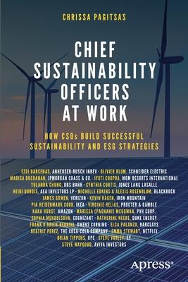 Chief Sustainability Officers at Work: How Csos Build Successful Sustainability and Esg Strategies