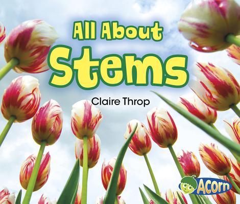 All about Stems Subscription