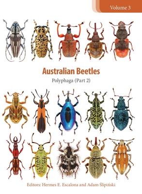 Australian Beetles: Polyphaga (Part 2) Subscription
