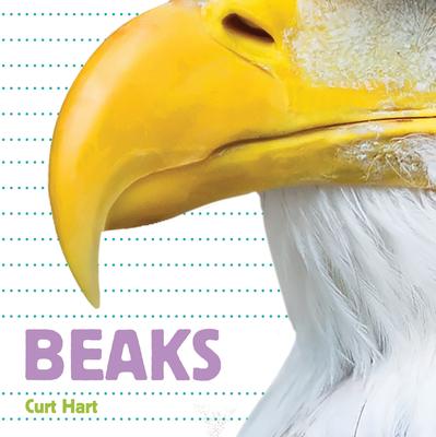 Beaks