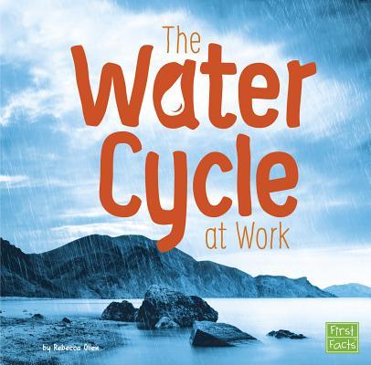 The Water Cycle at Work