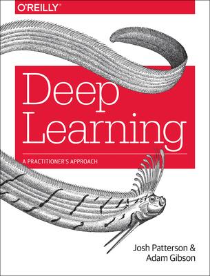 Deep Learning: A Practitioner's Approach