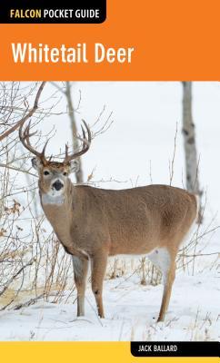 Whitetail Deer