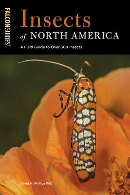 Insects of North America: A Field Guide to Over 300 Insects Subscription