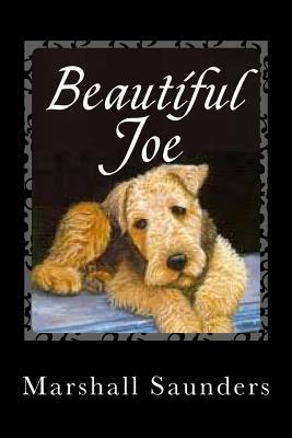 Beautiful Joe