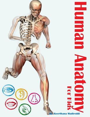 Human Anatomy for Kids