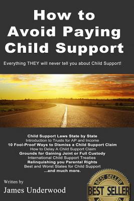 How to Avoid Paying Child Support: Learn How To Get Out of Paying Child Support Legally in the USA! A must read for anyone struggling with Child Suppo