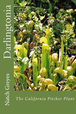 Darlingtonia