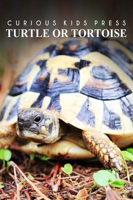 Turtle Or Tortoise - Curious Kids Press: Kids book about animals and wildlife, Children's books 4-6 Subscription