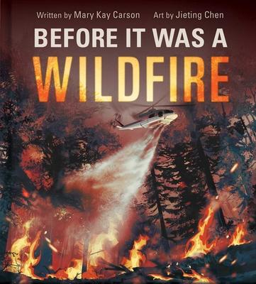 Before It Was a Wildfire (a Nonfiction Earth Science Picture Book with Double Gatefold for Kids) Subscription