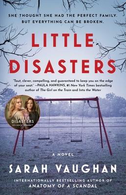 Little Disasters Subscription