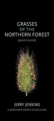 Grasses of the Northern Forest: Quick Guide