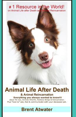 Animal Life After Death & Animal Reincarnation: Pet Loss Answers for all your heart's Questions!