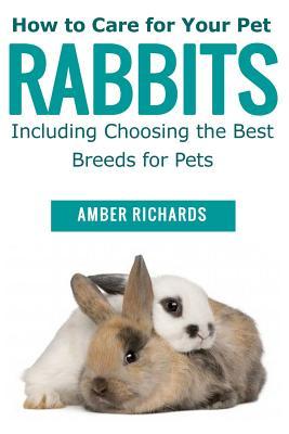 How to Care for Your Pet Rabbits: Including Choosing the Best Breeds for Pets