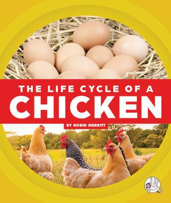 The Life Cycle of a Chicken