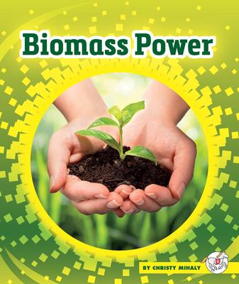 Biomass Power