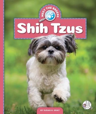 Shih Tzus Subscription