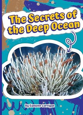 The Secrets of the Deep Ocean by Eamonn Corrigan, Library Binding ...