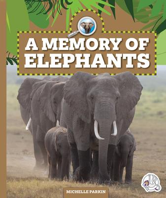 A Memory of Elephants