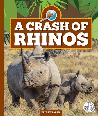 A Crash of Rhinos