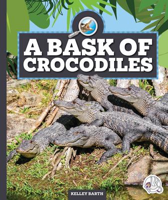 A Bask of Crocodiles