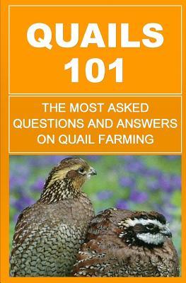 Quails 101: The Most Asked Questions And Answers On Quail Farming