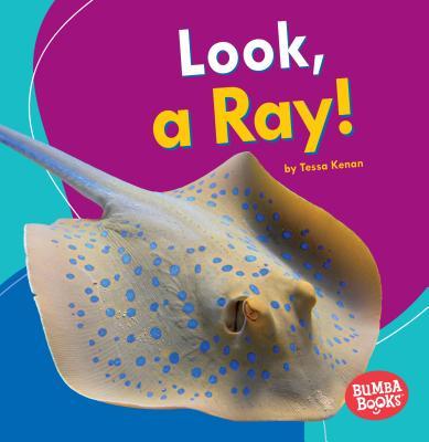 Look, a Ray!