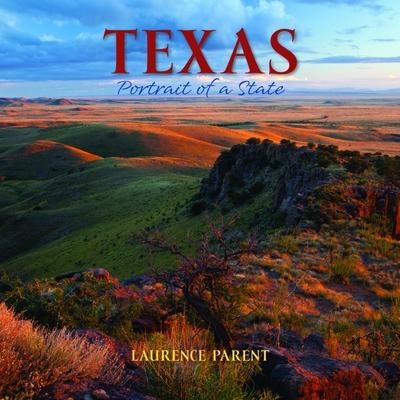 Texas: Portrait of a State