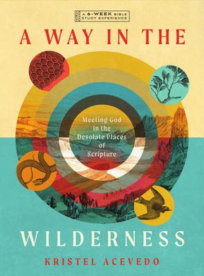 A Way in the Wilderness: Meeting God in the Desolate Places of Scripture--A 6-Week Bible Study with Video Access Subscription