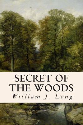 Secret of the Woods