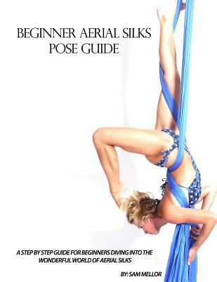 Beginner Aerial Silks Pose Guide